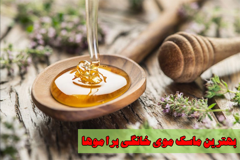 بهترین ماسک موی خانگی برای موها
