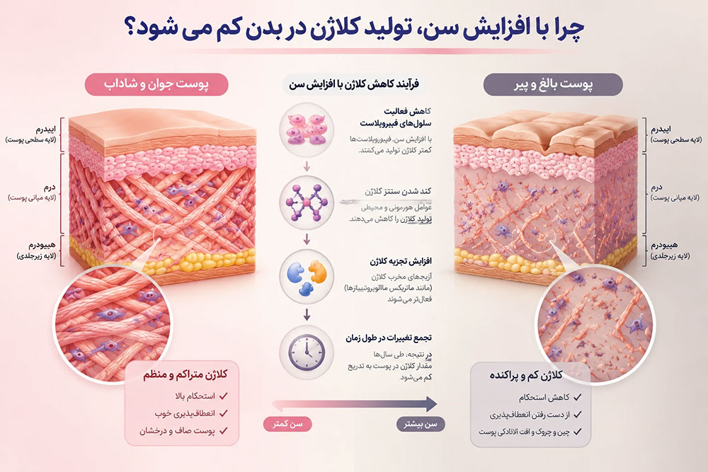 چرا با افزایش سن، تولید کلاژن در بدن کم می شود؟